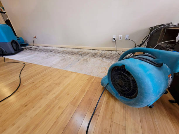 Professional Sewage Cleanup technician working in McNary, AZ